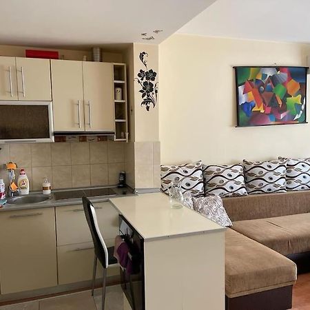 Apartament Cu Un Dormitor / One Bedroom Apartment Satu Mare Buitenkant foto