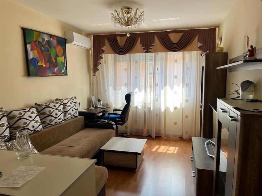 Apartament Cu Un Dormitor / One Bedroom Apartment Satu Mare Buitenkant foto