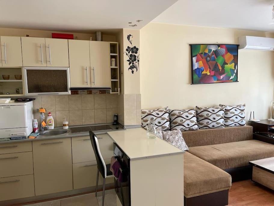 Apartament Cu Un Dormitor / One Bedroom Apartment Satu Mare Buitenkant foto